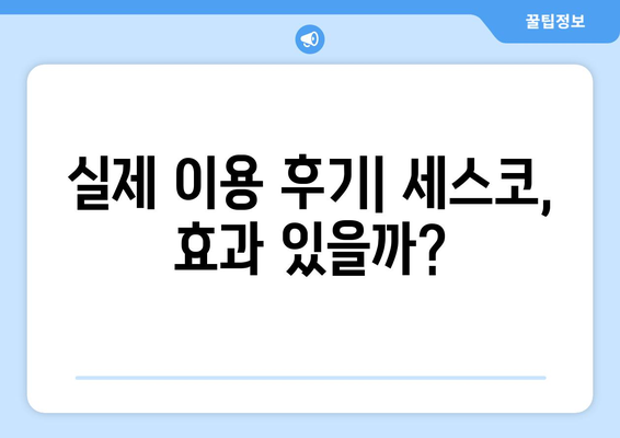 광주 광산구 첨단2동 세스코 가격 & 후기| 가정집, 원룸, 좀벌래 해결 솔루션 | 2024 최신 정보