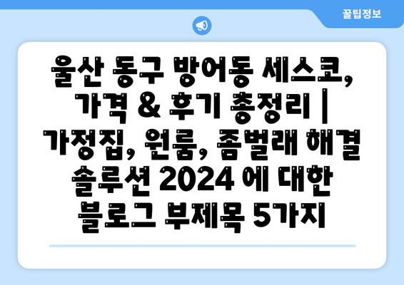 울산 동구 방어동 세스코, 가격 & 후기 총정리 | 가정집, 원룸, 좀벌래 해결 솔루션 2024