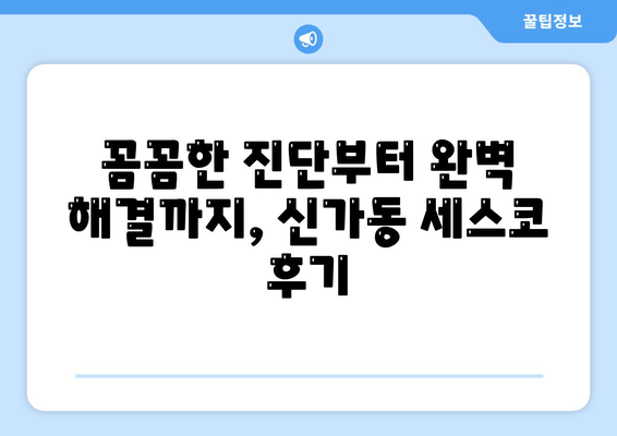 광주 광산구 신가동 세스코 가격 & 후기| 가정집, 원룸, 좀벌래 해결 솔루션 | 비용, 신청, 가입, 진단 2024