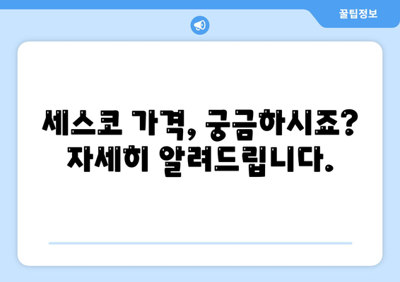 광주시 동구 학동 세스코 가격 및 후기| 가정집, 원룸, 좀벌레 해결 솔루션 | 비용, 신청, 가입, 진단 2024