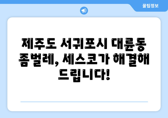 제주도 서귀포시 대륜동 세스코| 가격, 후기, 신청 & 좀벌레 해결 솔루션 | 가정집, 원룸, 비용, 2024