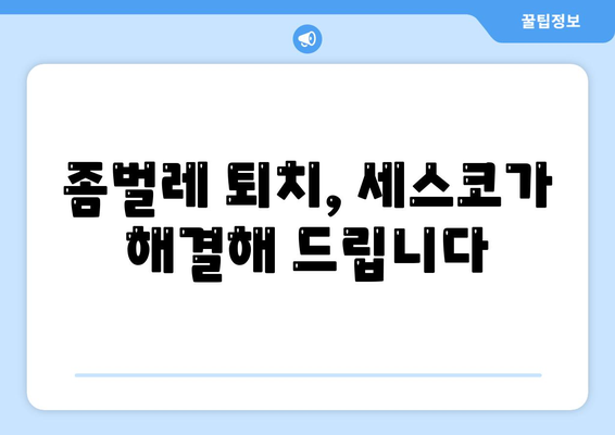 부산 영도구 청학2동 세스코 가격 & 후기| 가정집, 원룸, 좀벌래 해결 솔루션 | 비용, 신청, 가입, 진단 2024