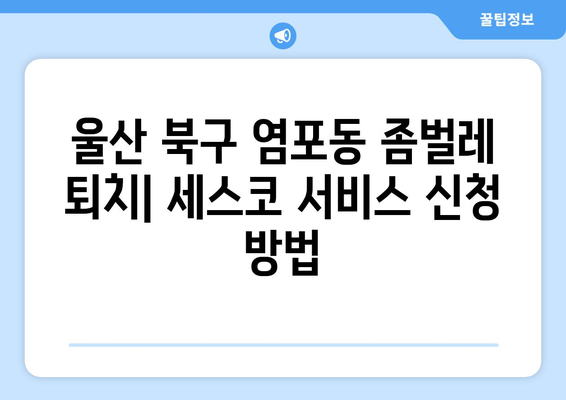 울산 북구 염포동 세스코 가격 & 후기| 가정집, 원룸, 좀벌레 퇴치 비용 & 신청 방법 | 2024 최신 정보