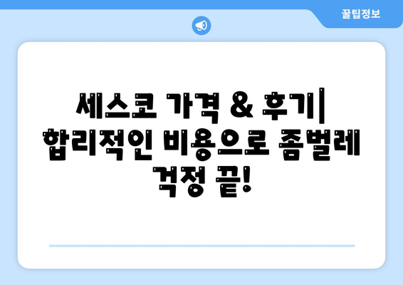 광주 광산구 동곡동 세스코 가격 & 후기| 좀벌레, 가정집, 원룸 해결 솔루션 | 비용, 신청, 가입, 진단 2024