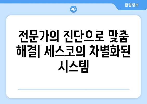 충청남도 서천군 장항읍 세스코 가격 & 후기| 가정집, 원룸, 좀벌래 해결 솔루션 | 비용, 신청, 가입, 진단 2024