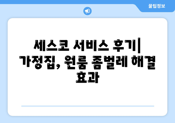 대구 달성군 구지면 세스코 가격 & 후기| 가정집, 원룸, 좀벌래 해결 솔루션 | 2024 최신 정보