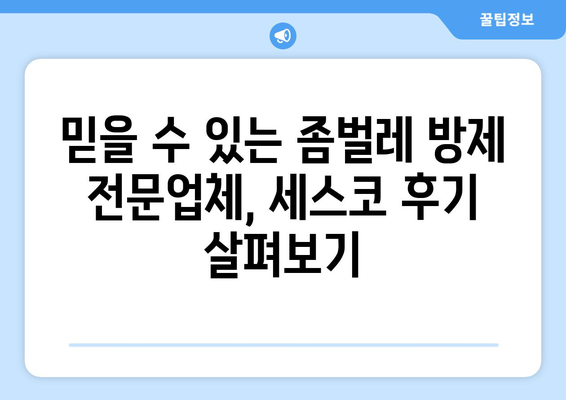 부산 금정구 선두구동 세스코 가격 & 후기| 가정집, 원룸, 좀벌래 해결 솔루션 | 비용, 신청, 가입, 진단