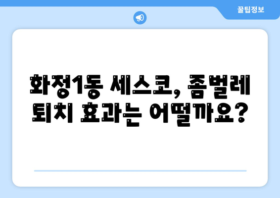 광주 서구 화정1동 세스코 가격 & 후기| 가정집, 원룸, 좀벌래 해결 솔루션 | 2024 비용, 신청, 가입, 진단