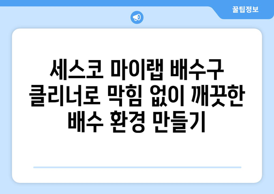 여름철 위생 관리, 세스코 마이랩 배수구 클리너로 쾌적하게! | 배수구 청소, 악취 제거, 여름철 위생 팁