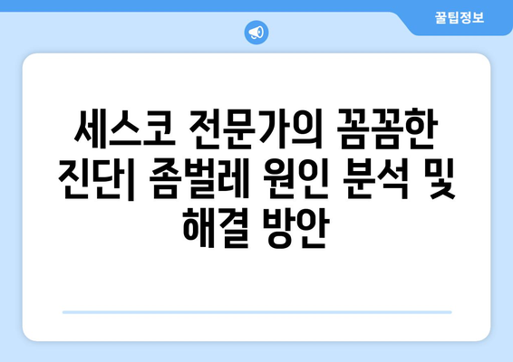 대구 달서구 월암동 세스코 가격 & 후기| 가정집, 원룸, 좀벌래 해결 솔루션 | 비용, 신청, 가입, 진단 2024