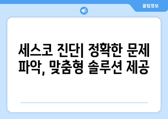 광주 남구 사직동 세스코 가격 & 후기| 가정집, 원룸, 좀벌레 해결 솔루션 | 비용, 신청, 가입, 진단 2024