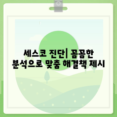 인천 서구 청라1동 세스코 가격 & 후기| 가정집, 원룸, 좀벌래까지! | 비용, 신청, 가입, 진단, 2024