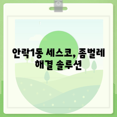 부산 동래구 안락1동 세스코 가격 & 후기| 가정집, 원룸, 좀벌래 해결 솔루션 | 비용, 신청, 가입, 진단 2024