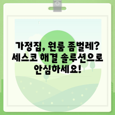 칠곡군 동명면 세스코 가격 & 후기| 가정집, 원룸, 좀벌래 해결 솔루션 | 2024 최신 정보 | 비용, 신청, 가입, 진단