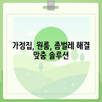 광주 광산구 첨단2동 세스코 가격 & 후기| 가정집, 원룸, 좀벌래 해결 솔루션 | 2024 최신 정보