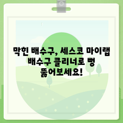 여름철 위생 관리, 세스코 마이랩 배수구 클리너로 쾌적하게! | 여름, 위생, 배수구, 세스코, 마이랩, 청소, 팁