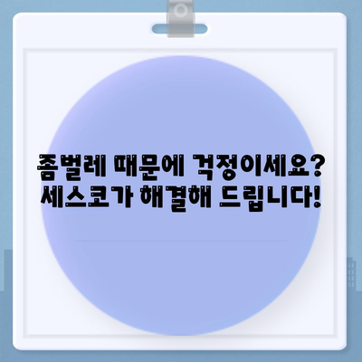 대전 동구 판암2동 세스코 가격 & 후기| 2024년 가정집, 원룸 비용 & 신청 정보 | 좀벌레 해결, 가입, 진단 팁