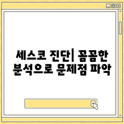 인천 서구 가좌4동 세스코 가격 & 후기| 가정집, 원룸, 좀벌래 해결 솔루션 | 비용, 신청, 가입, 진단 2024