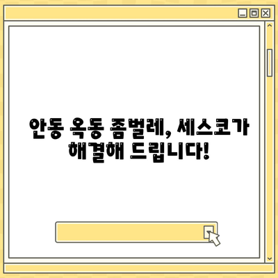 안동 옥동 세스코 가격 & 후기| 좀벌레 해결 솔루션 | 가정집, 원룸, 비용, 신청, 가입, 진단, 2024