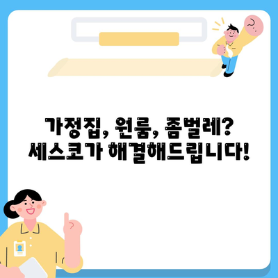 세종시 연서면 세스코 가격 & 후기| 가정집, 원룸, 좀벌래 해결! | 비용, 신청, 가입, 진단, 2024