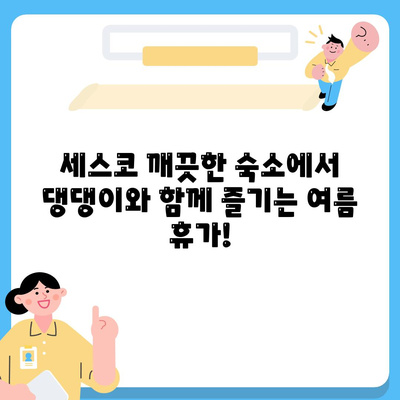 여름 휴가, 반려견과 함께 떠나기! 세스코 관리 숙소에서 싱그러운 추억 만들기 | 애견 동반 숙소, 여름 휴가, 세스코