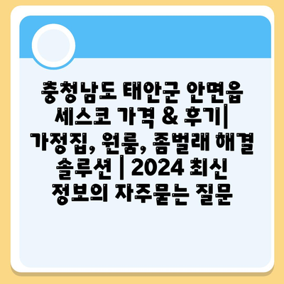 충청남도 태안군 안면읍 세스코 가격 & 후기| 가정집, 원룸, 좀벌래 해결 솔루션 | 2024 최신 정보