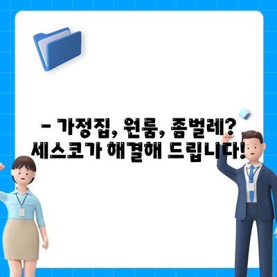 제주도 서귀포시 중앙동 세스코 가격 & 후기| 가정집, 원룸, 좀벌레 해결 솔루션 | 2024 최신 정보