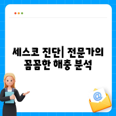 광주 동구 동명동 세스코 가격 & 후기| 가정집, 원룸, 좀벌레 해결 솔루션 | 비용, 신청, 가입, 진단, 2024