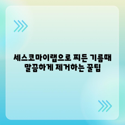 찌든 기름때, 세스코마이랩으로 말끔하게! 주방 청소 끝내는 꿀팁 | 세척, 주방, 기름때 제거, 세스코