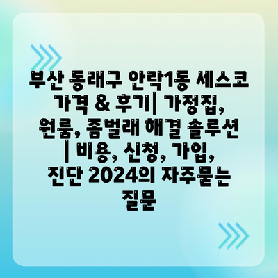 부산 동래구 안락1동 세스코 가격 & 후기| 가정집, 원룸, 좀벌래 해결 솔루션 | 비용, 신청, 가입, 진단 2024