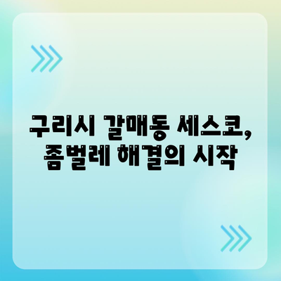 경기도 구리시 갈매동 세스코 가격 & 후기| 가정집, 원룸, 좀벌래 해결 솔루션 | 비용, 신청, 가입, 진단, 2024