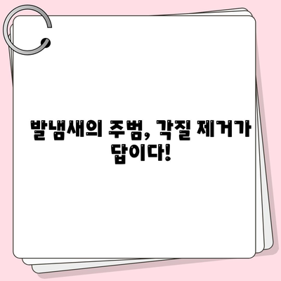 발냄새 관리 끝판왕| 세스코풋 샴푸로 각질 제거까지 완벽하게 | 발냄새 원인, 해결 방법, 추천 제품