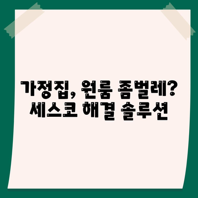 대구 달서구 월성1동 세스코 가격 & 후기| 가정집, 원룸, 좀벌래 해결 솔루션 | 2024 비용, 신청, 가입, 진단