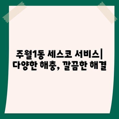 광주 남구 주월1동 세스코 가격 & 후기| 가정집, 원룸, 좀벌레 해결 솔루션 | 2024 최신 정보