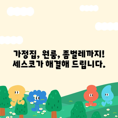 김포 사우동 세스코 가격 & 후기| 가정집, 원룸, 좀벌레 해결 솔루션 | 비용, 신청, 가입, 진단 2024