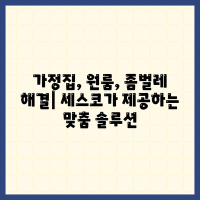 부산 강서구 가락동 세스코 가격 & 후기| 가정집, 원룸, 좀벌레 해결 솔루션 | 비용, 신청, 가입, 진단 2024