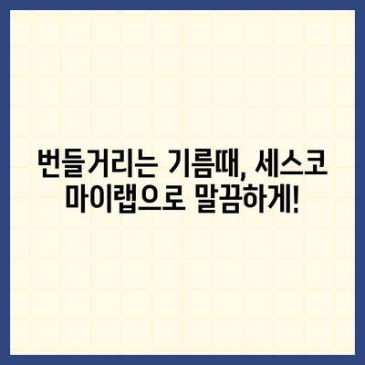 기름 때 제거, 세스코 마이랩 주방청소 용품으로 해결하세요! | 주방 청소, 기름때 제거, 세척, 세스코 마이랩