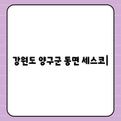 강원도 양구군 동면 세스코 가격 & 후기| 가정집, 원룸, 좀벌래 해결 솔루션 | 비용, 신청, 가입, 진단 2024