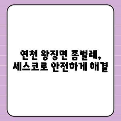 연천군 왕징면 세스코 가격 & 후기| 가정집, 원룸 좀벌레 해결 솔루션 | 비용, 신청, 가입, 진단 2024