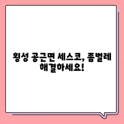 강원도 횡성군 공근면 세스코 가격 & 후기| 가정집, 원룸, 좀벌래 해결 솔루션 | 비용, 신청, 가입, 진단 2024