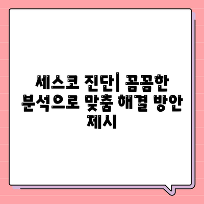 부산 서구 충무동 세스코 가격 & 후기| 가정집, 원룸, 좀벌레 해결 솔루션 | 비용, 신청, 가입, 진단 2024