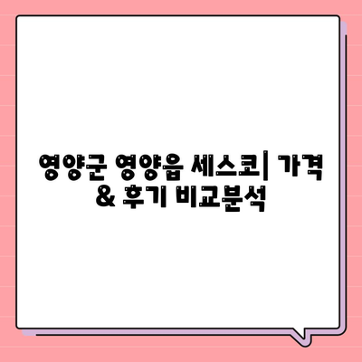 영양군 영양읍 세스코 가격 & 후기| 가정집, 원룸, 좀벌래 해결 솔루션 | 비용, 신청, 가입, 진단 2024