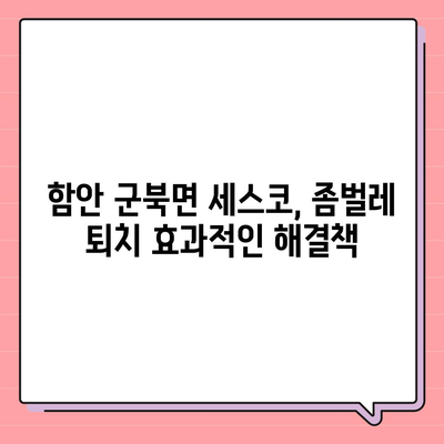 함안군 군북면 세스코 가격 & 후기| 가정집, 원룸, 좀벌래 해결 솔루션 | 비용, 신청, 가입, 진단 2024