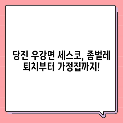 당진시 우강면 세스코 가격 & 후기| 가정집, 원룸, 좀벌래 퇴치 비용 & 신청 가이드 | 2024 최신 정보