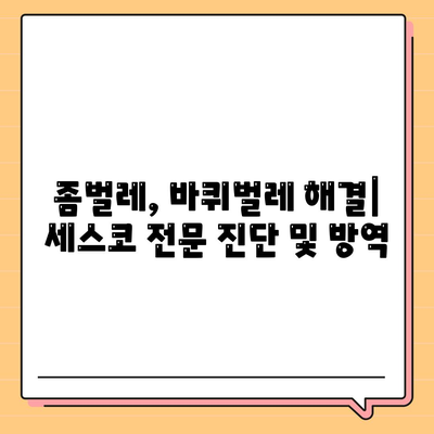 전라북도 부안군 계화면 세스코 가격 & 후기| 가정집, 원룸, 좀벌래 해결 솔루션 | 비용, 신청, 가입, 진단 2024