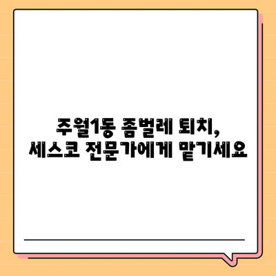 광주 남구 주월1동 세스코 가격 & 후기| 가정집, 원룸, 좀벌레 해결 솔루션 | 2024 최신 정보