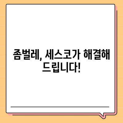 전라남도 강진군 옴천면 세스코| 가격, 후기, 신청, 좀벌레 해결 솔루션 | 2024 가이드