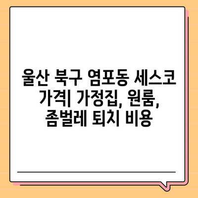 울산 북구 염포동 세스코 가격 & 후기| 가정집, 원룸, 좀벌레 퇴치 비용 & 신청 방법 | 2024 최신 정보