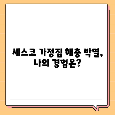 세스코 가정집 해충 박멸 후기| 바퀴벌레 박멸 성공? 무료 진단 경험 공유 | 세스코 후기, 해충 박멸, 바퀴벌레, 무료 진단