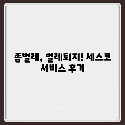 공주시 정안면 세스코 가격 & 후기| 가정집, 원룸, 좀벌레 해결 솔루션 | 비용, 신청, 가입, 진단, 2024